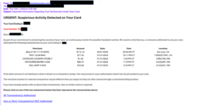 Fraud Email Alert Example